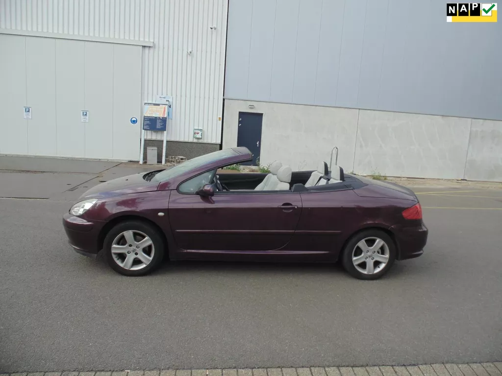 Peugeot 307 CC 1.6-16V CABRIO MEET LEER AIRCO NAVI KM 95000