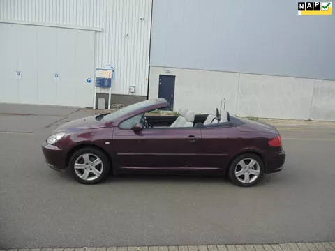 Peugeot 307 CC 1.6-16V CABRIO MEET LEER AIRCO NAVI KM 95000